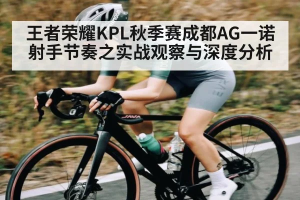 王者荣耀KPL秋季赛成都AG一诺射手节奏之实战观察与深度分析